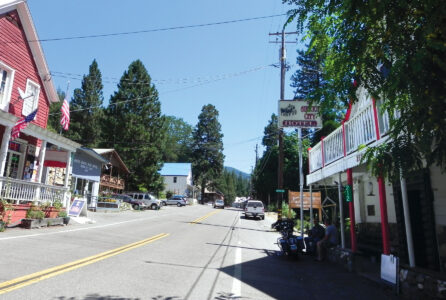 Going for Gold: Norton Owners Club Image